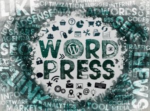 Wordpress Themes