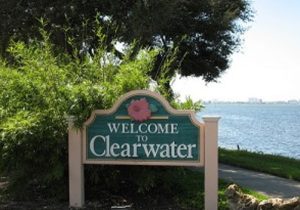 SEO Company In Clearwater 