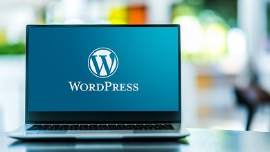 WordPress SEO Plugins Comparison
