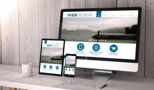 Website Design in West Palm Beach 