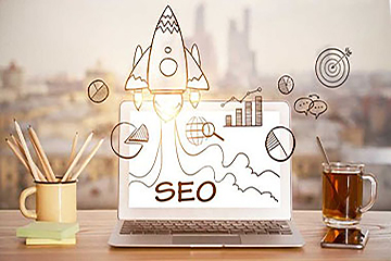 SEO Services In Coconut Creek