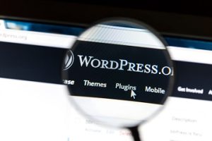 WordPress SEO Strategy